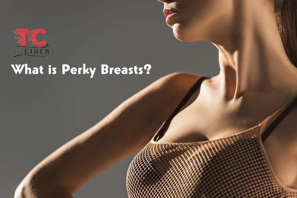 What is Perky Breasts?perty tits